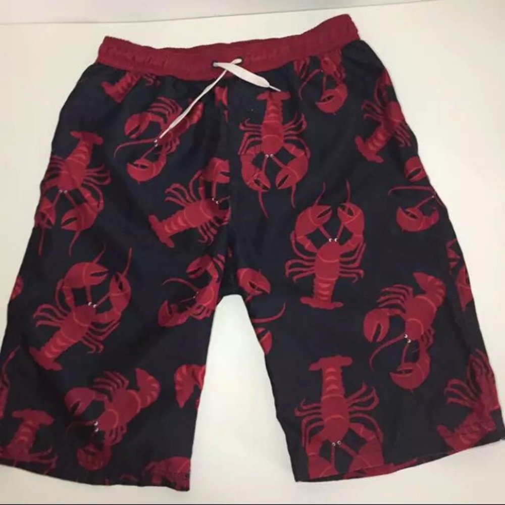 Kids boys Gymboree swim trunks size 12